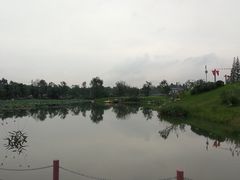 -桤木河湿地公园