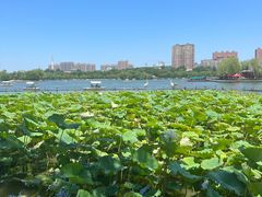 -济南大明湖景区