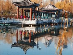 -莲花池公园
