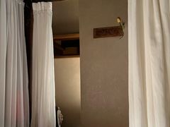 -宽口美蛙鱼头(大唐西市店)