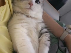 -满兴咱妈烀饼铁锅炖(兰州北街店)