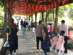 -白马涧龙池景区
