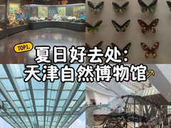 -天津自然博物馆