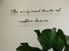 -red donkey coffee