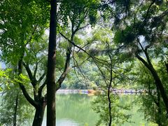 -秦岭终南山世界地质公园翠华山景区