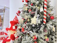 -炫艺舞蹈培训中心(枫尚奥特莱斯店)