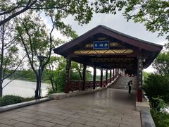 -长广溪湿地公园