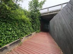 -普芬比利蒸汽火车