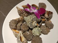 -前海沿·青岛菜(大拇指广场石老人店)