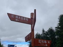 -硗碛藏寨·神木垒景区