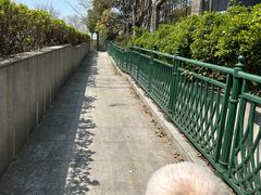 -新江湾城公园