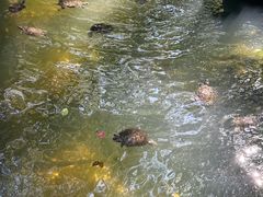 -普陀山风景名胜区-法雨禅寺