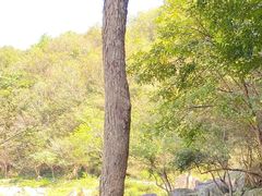-武汉姚家山旅游景区