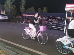 -望湖楼餐厅(白廊码头店)