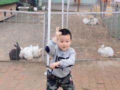 -1982农场