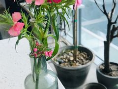 -半山腰·云南菜(侨福芳草地店)