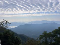 -梧桐山风景名胜区