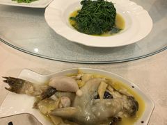 -孔庆璞河豚馆(白玉兰酒店)