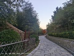 -竹子庵公园