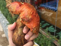 -爱膳菌锅锅(阳南店)