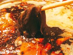 -川西坝子火锅(金沙1.0直营店)