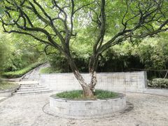 -菊花台公园