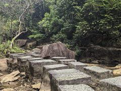 -广州白江湖森林公园