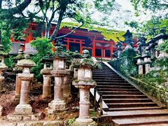 -奈良公园