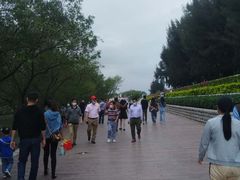 -宝安西湾红树林湿地公园