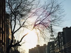 -好利来(世纪广场店)