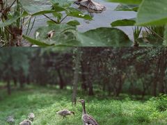 -泰安地下龙宫景区