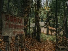 -莫干山风景区