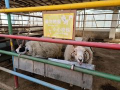 -南宫五洲植物乐园