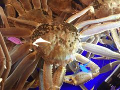 -蟹道乐(道顿堀本店)