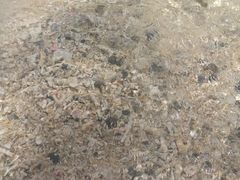 -东姑阿都拉曼海洋公园