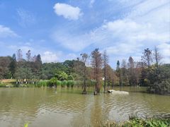 -海珠湖公园