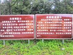 -白草畔自然风景区