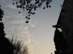 -武汉大学-樱园
