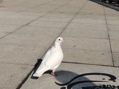 -海合安武汉极地海洋公园