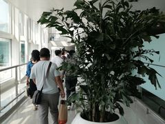 -杭州萧山国际机场