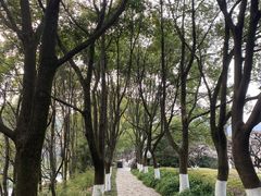 -白马涧龙池景区