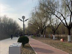 -南翠屏公园