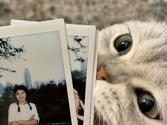 -观象山公园