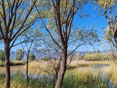 -野鸭湖国家湿地公园