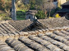 -MOJ coffee(瓯海泽雅水碓坑店)