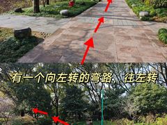 -中国茶叶博物馆(双峰馆区)