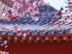 -桃花堤公园