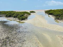 -北海金海湾红树林生态旅游区