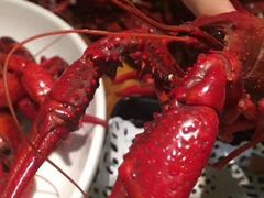 -东瓯泡泡(百里东路店)
