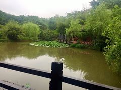 -西院1号(龙井店)